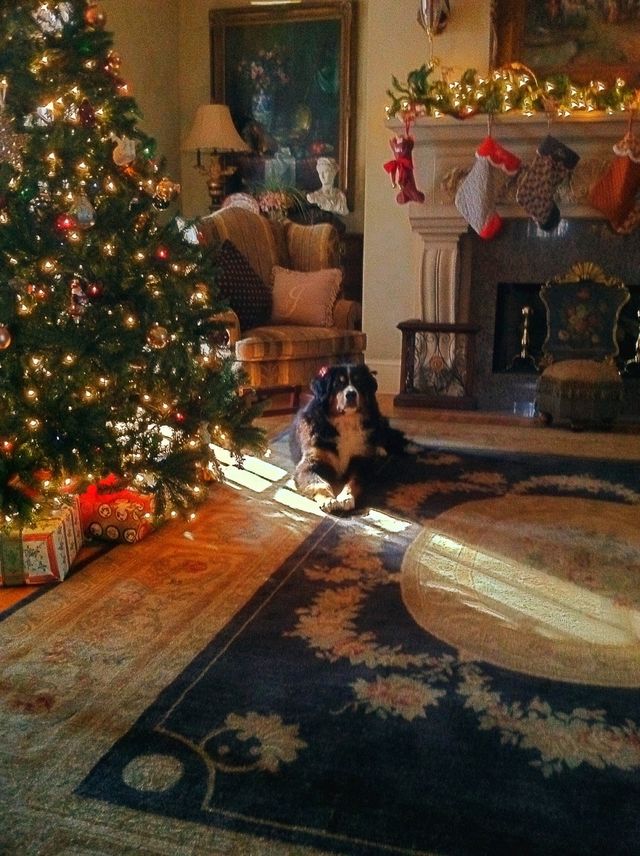 Christmas Morning 