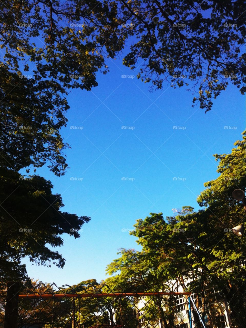 🗾Um #céu azul totalmente inspirador!
Como não contemplar?
🙌🏻
#natureza #paisagem #fotografia #mobgrafia #inspirador #sky #landscapes