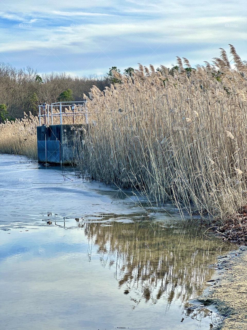 Urban nature water