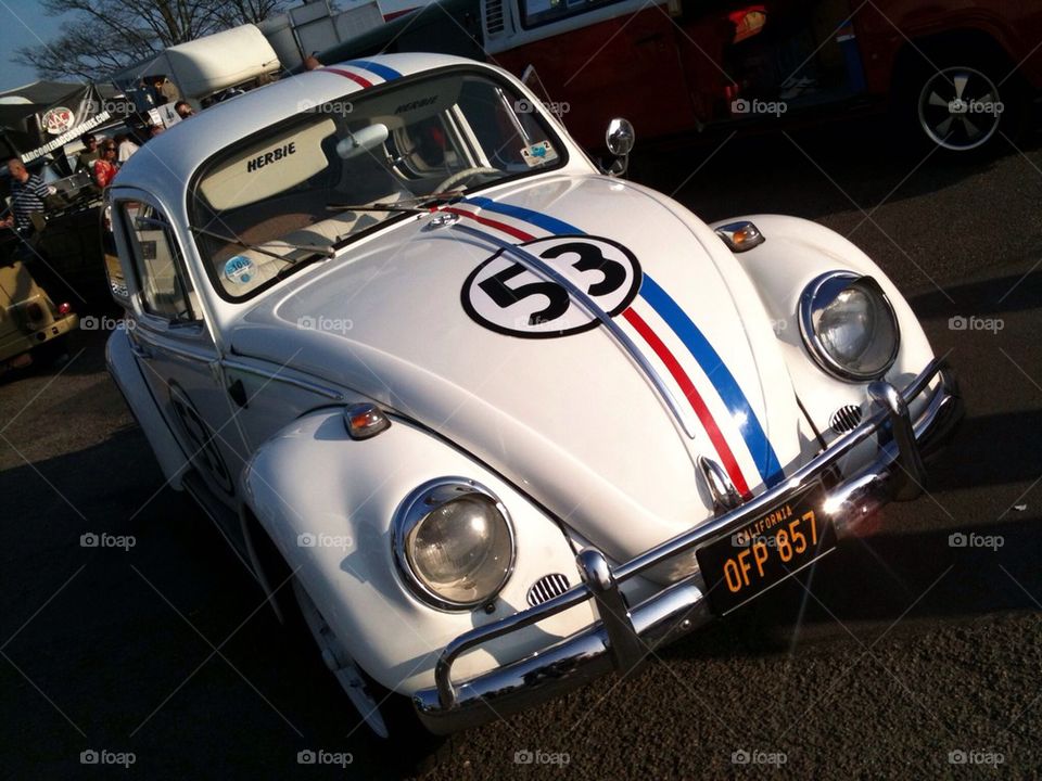 Herbie