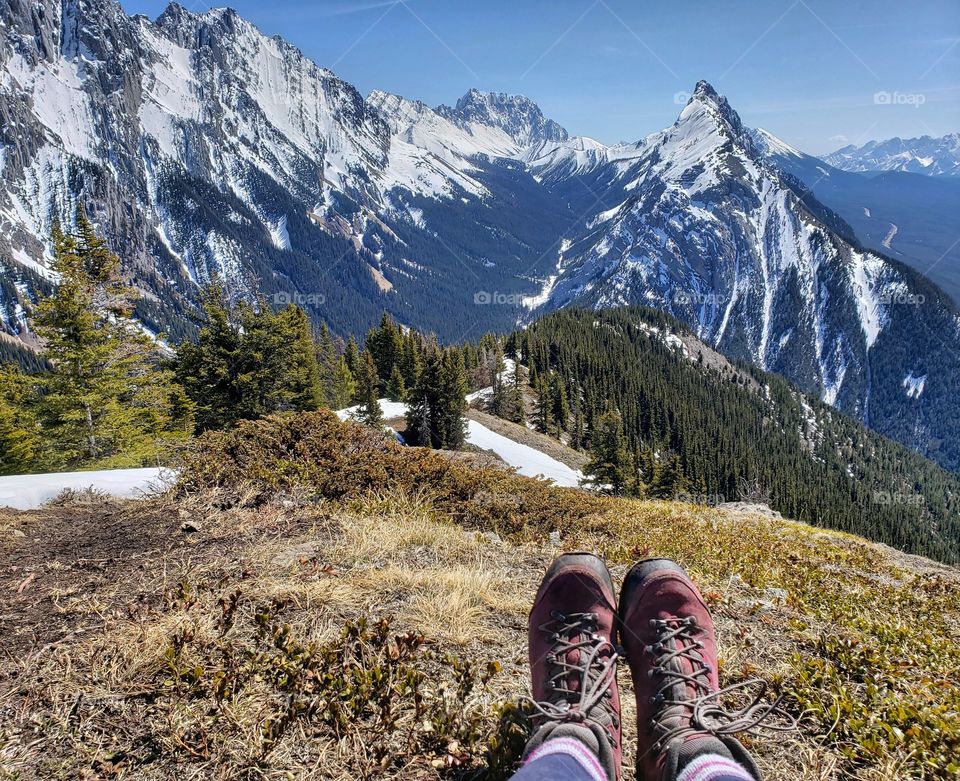 Purple boot adventure