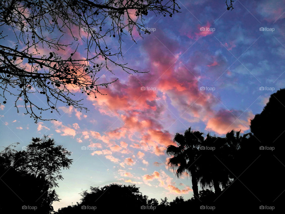 Nigh silhouettes and sky