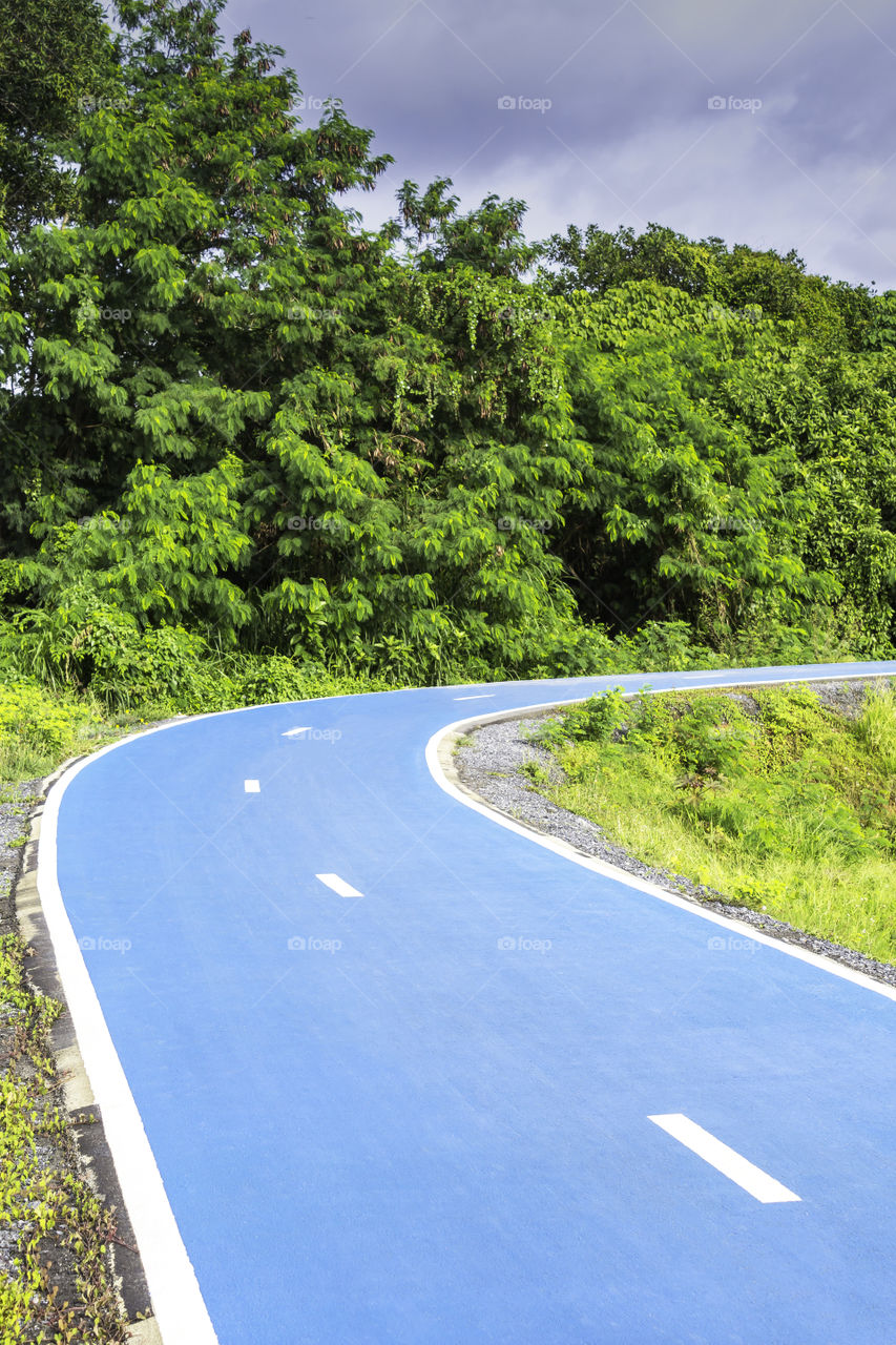 Blue color road for bicycle with green nature