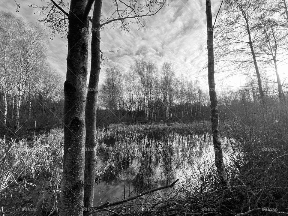Moody pond