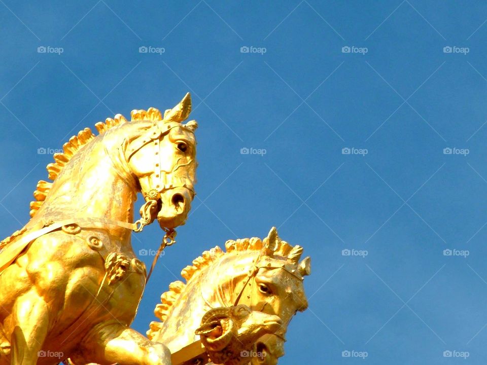 Golden horses