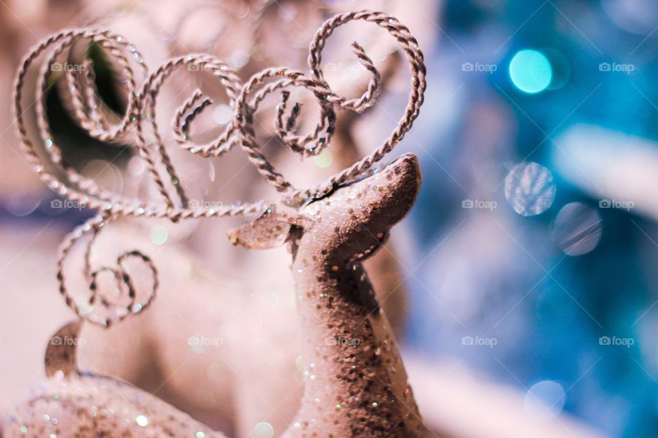 reindeer bokeh blue