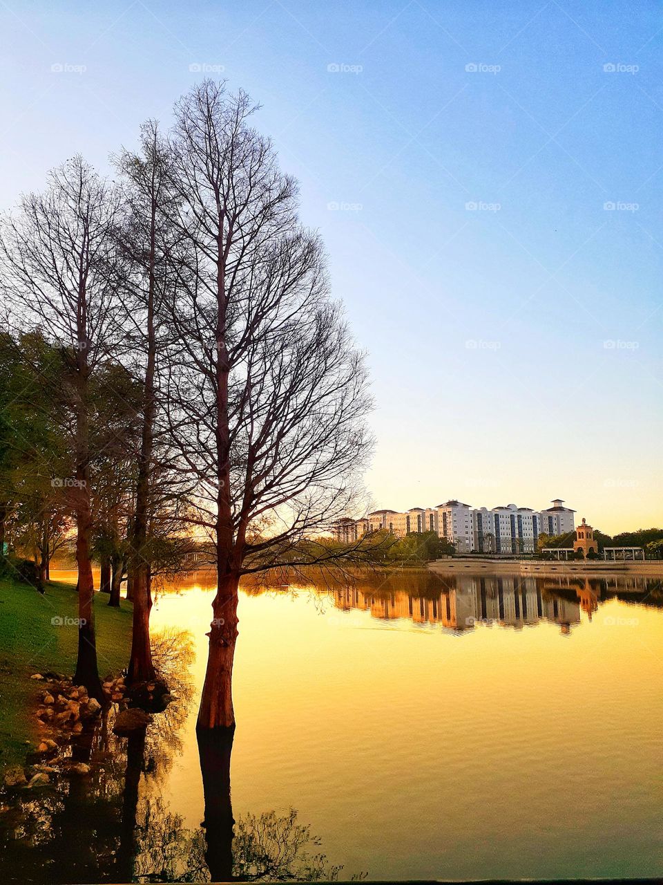 As I was at Cranes Roost Park walking to the place I usually take sunrise pics, I took a few on the way. This is one of the pics.
