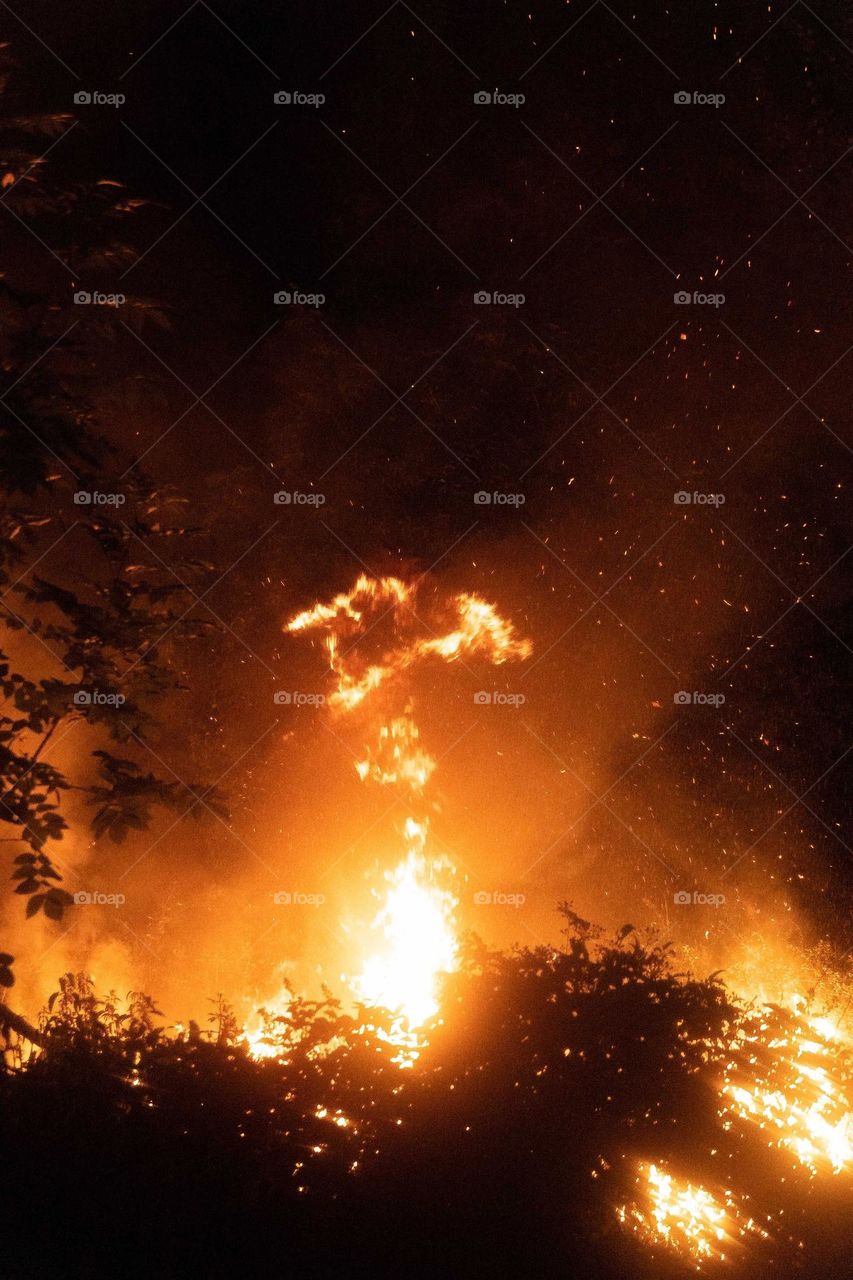 fire on the mountain