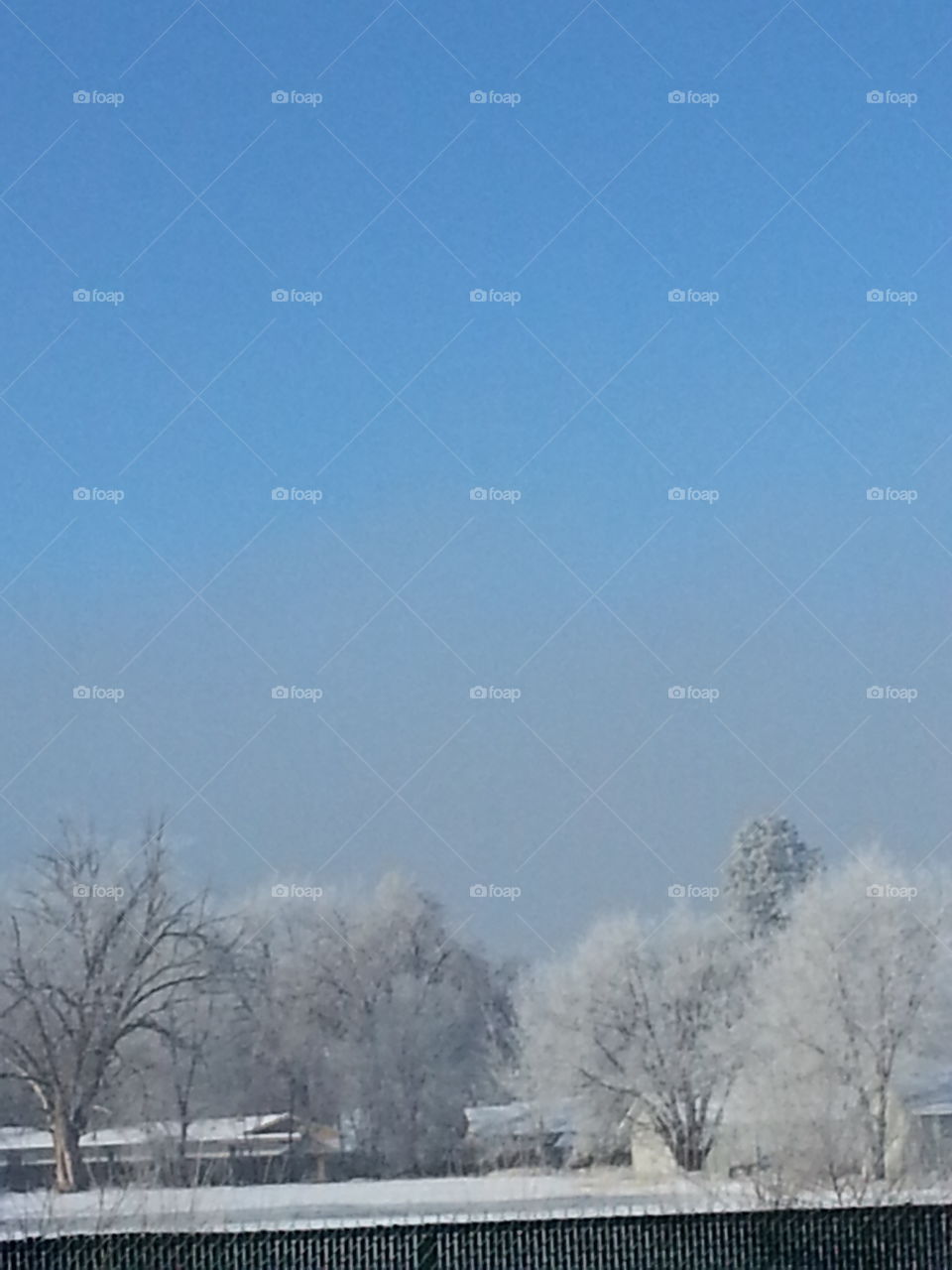 Winter, Snow, Landscape, Fog, Cold