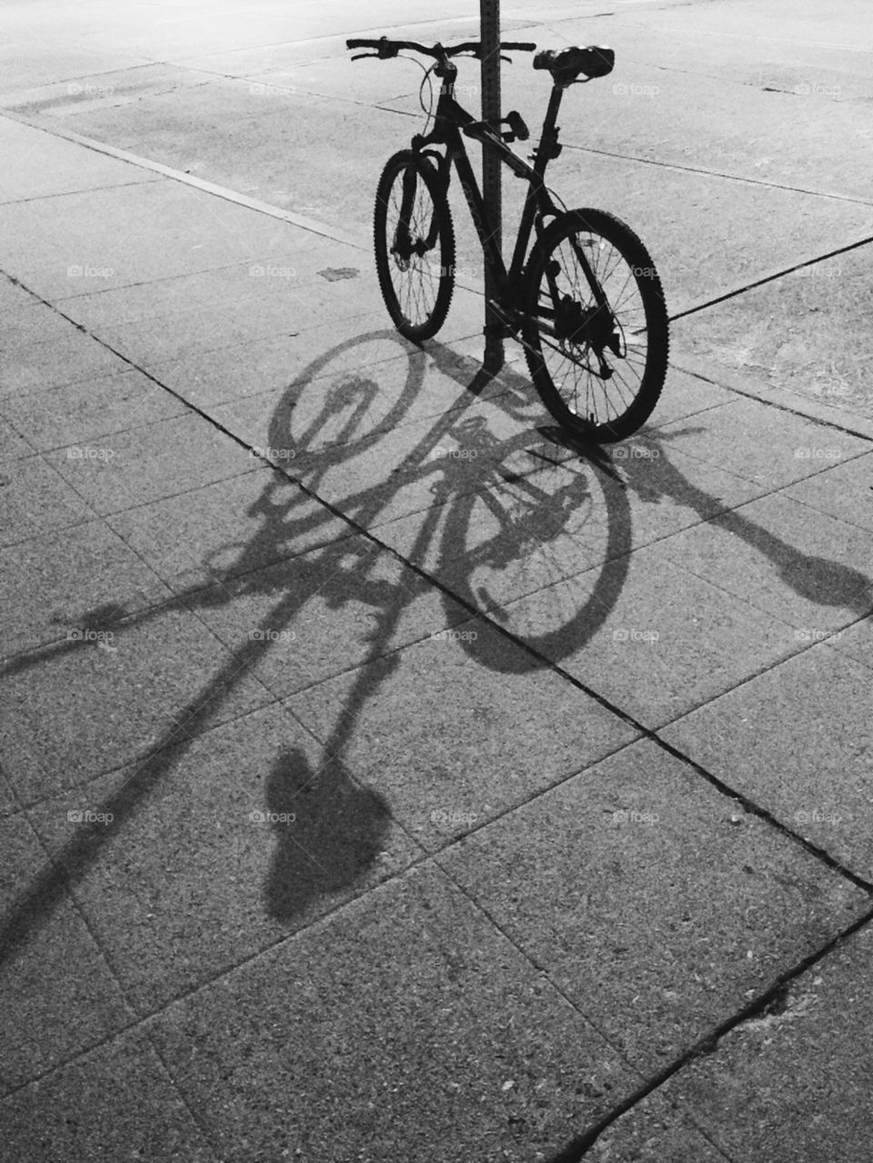 Bicycle Shadows