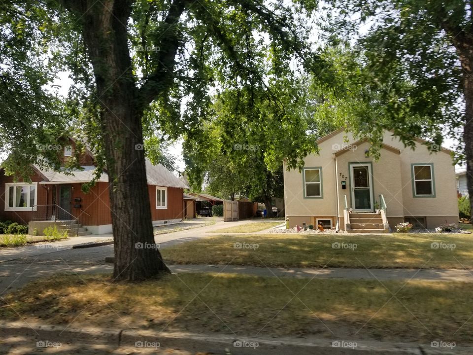 Home, House, Architecture, No Person, Tree