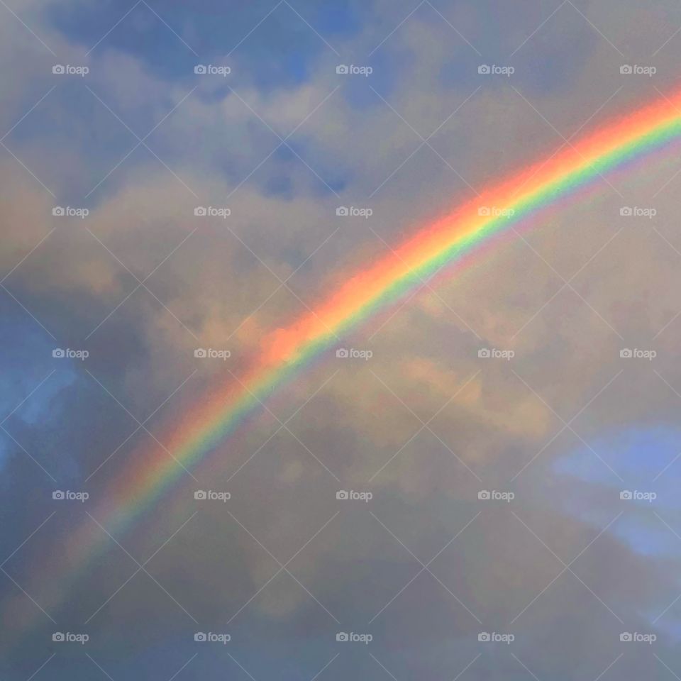Light + Water= Rainbow 🌈