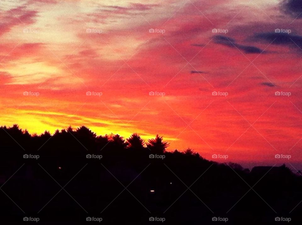 Kodiak Alaska. Kodiak Alaska