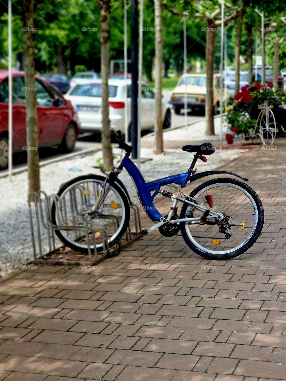 lonely bicycle