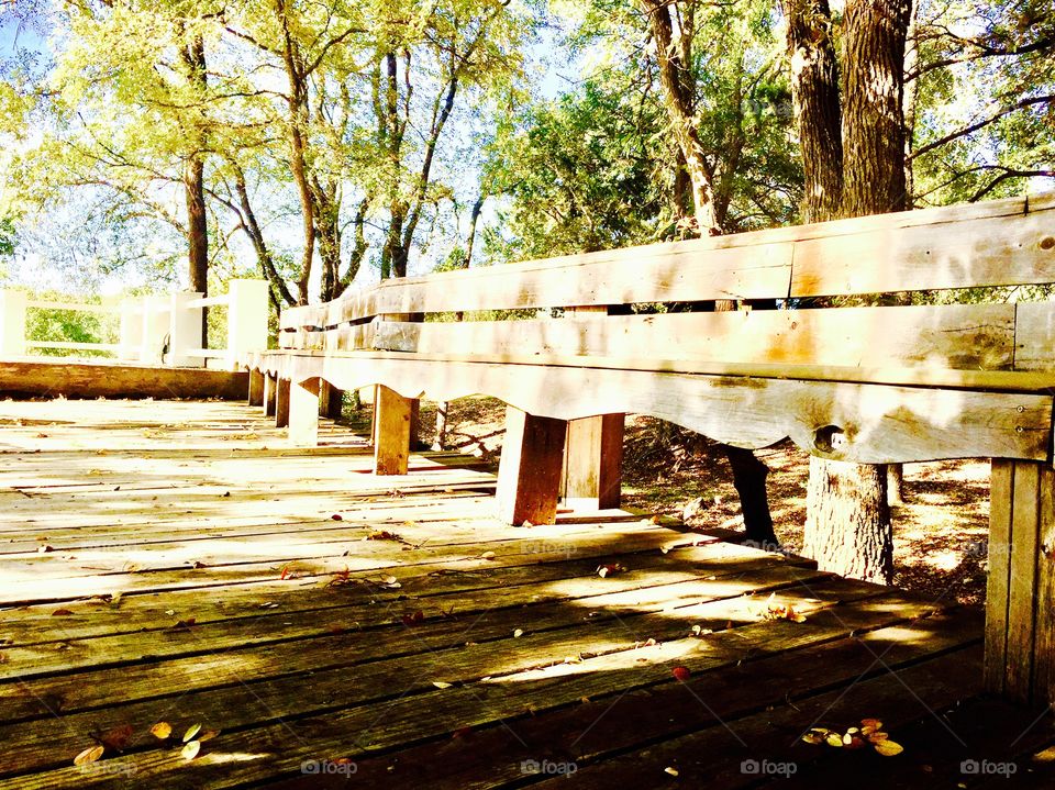 Rustic benches in Texas 