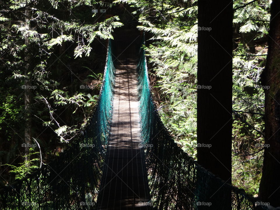 Suspension bridge