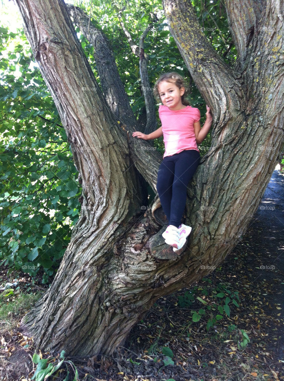 Girl climbing tree