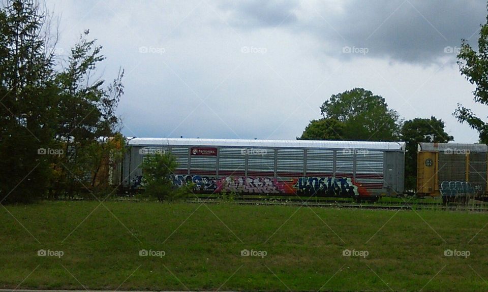 graffiti on a train. graffiti on a passing train in wyandotte Michigan