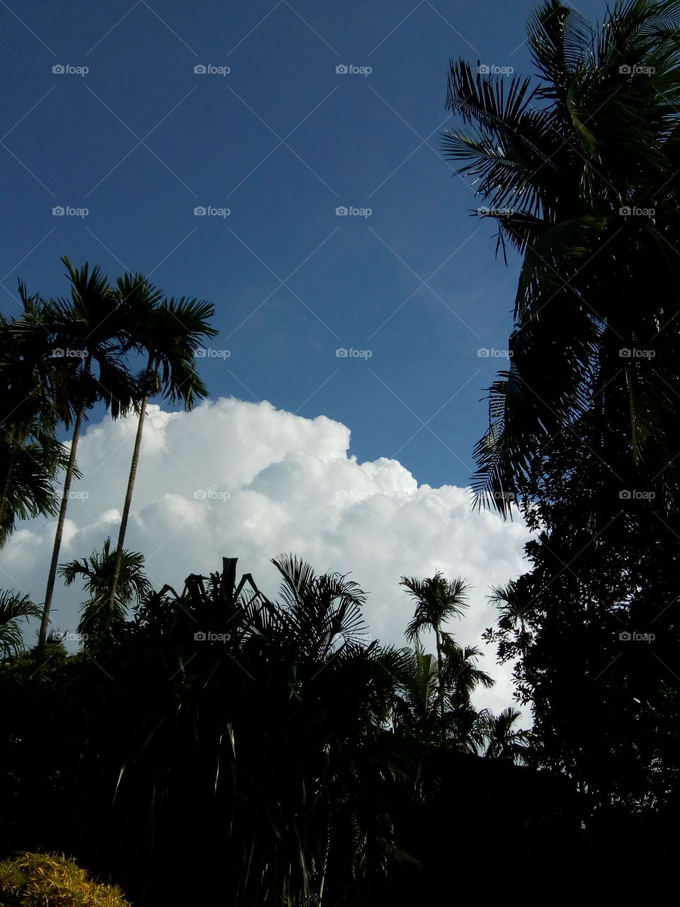 Blue clouds of white clouds in the sky.