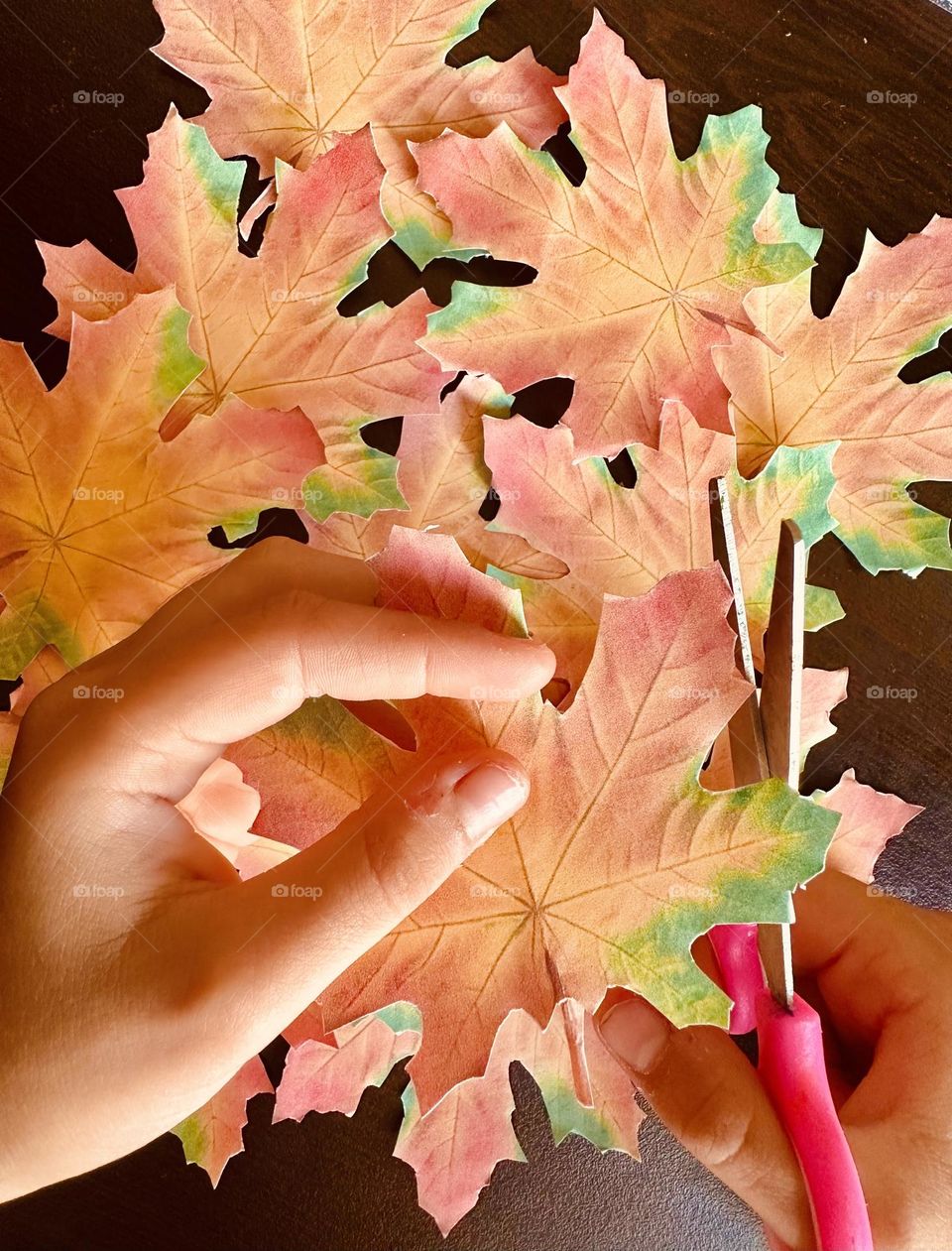 autumn leaves at home