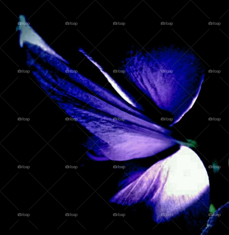 simplicity. lighting effects