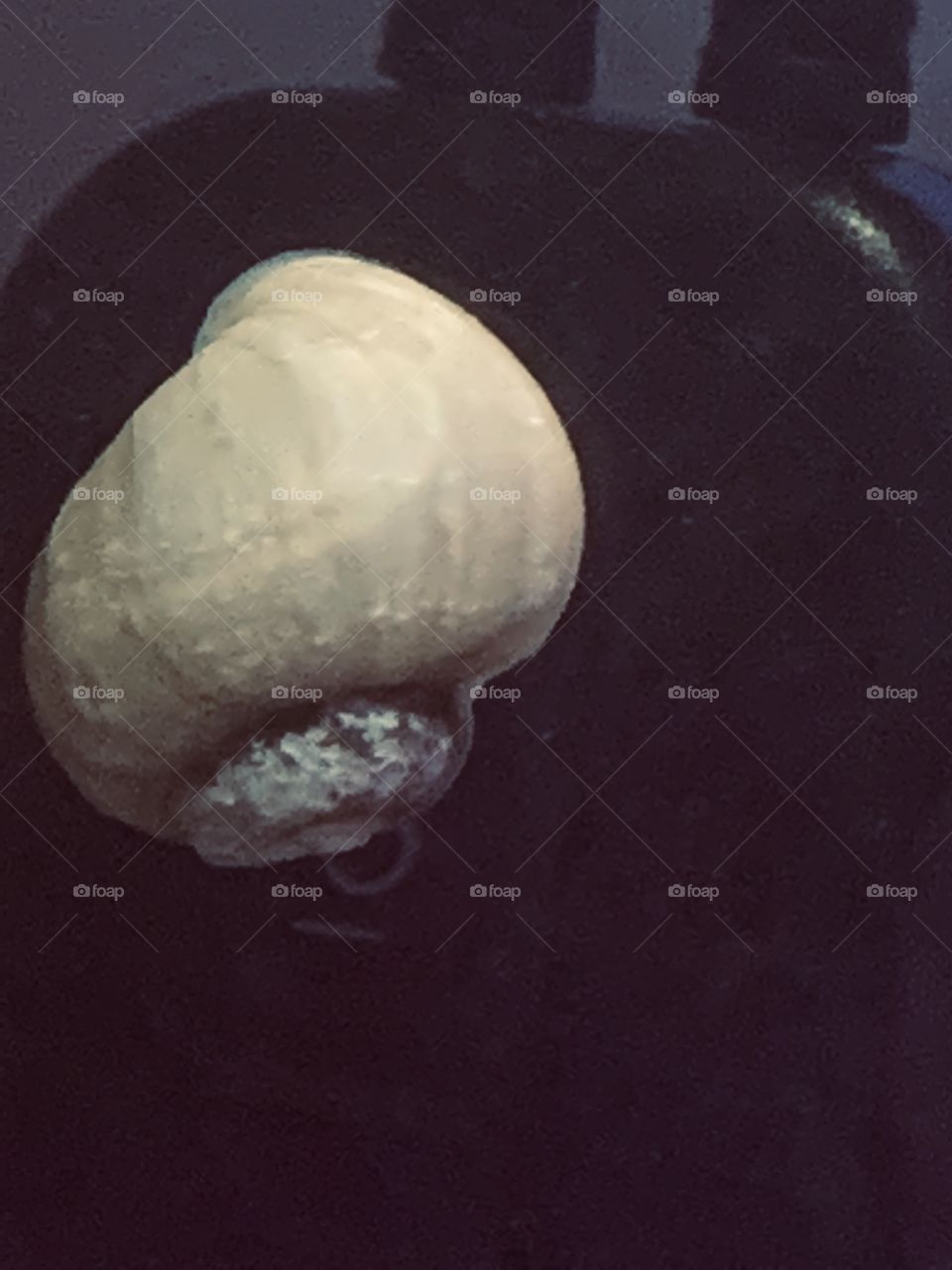 Snail in an aquarium 