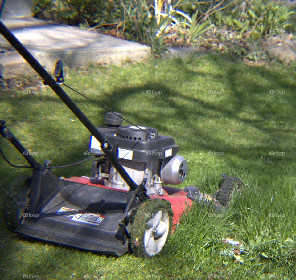 Mowing Grass With Push Lawnmower