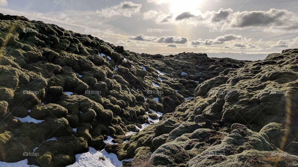 Moss-Covered Lava Field in Eldhraun, Iceland