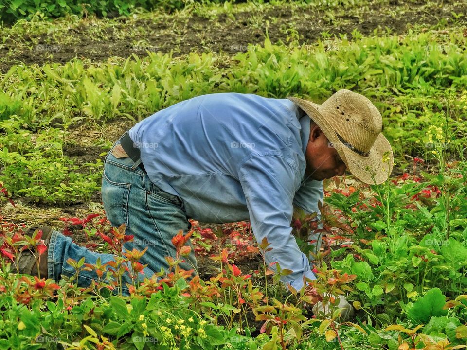 Cowboy In The Garden