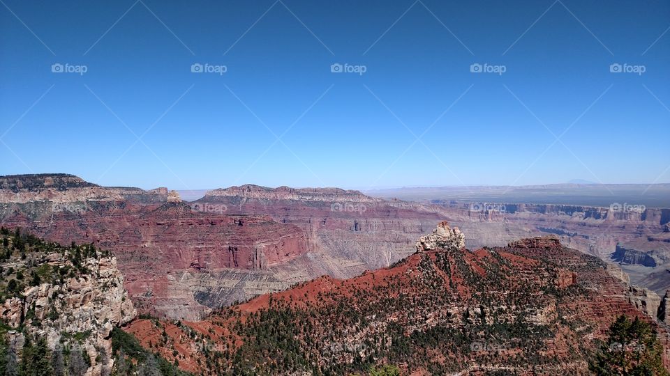 North Rim of Grand Canyon 1