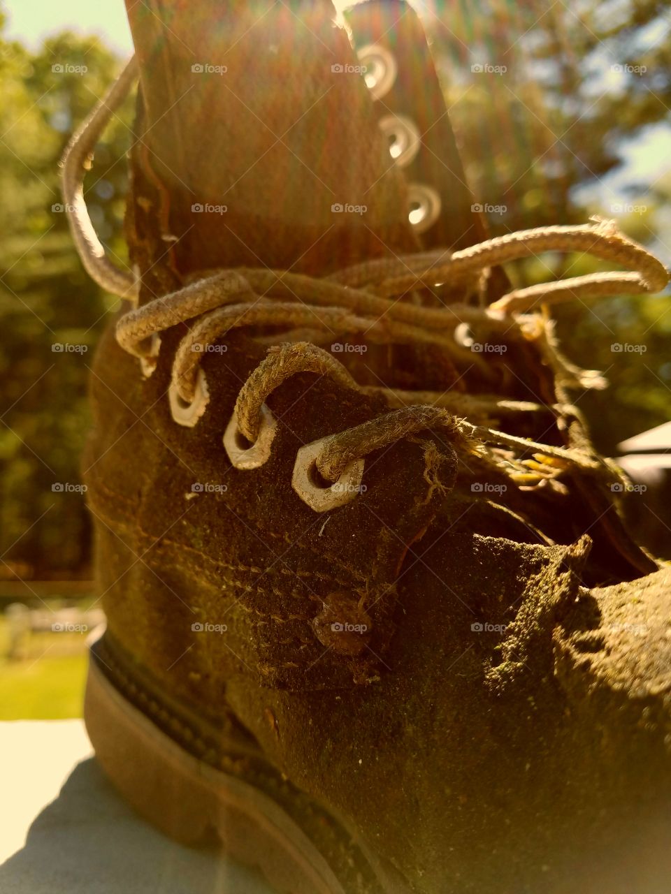 Close-up of old shoe