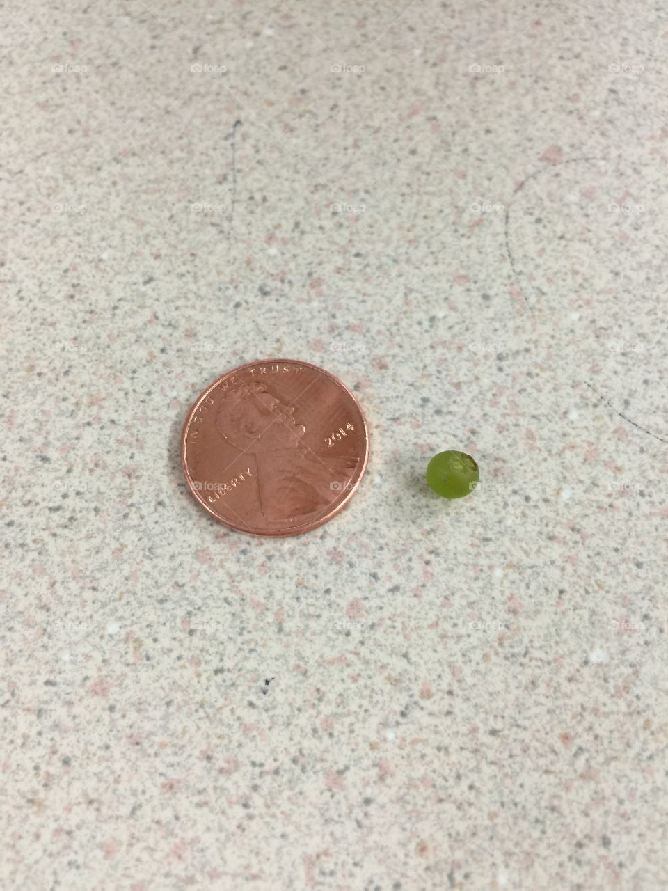 Tiniest grape ever!