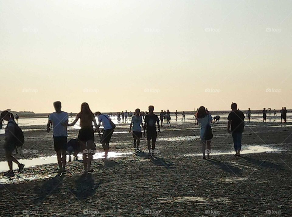 Silhouettes and shadows: many people went to the seashore on holiday, they were enjoying happy one day ecological tour. this is the end point of intertidal zone at dusk. playing happy.