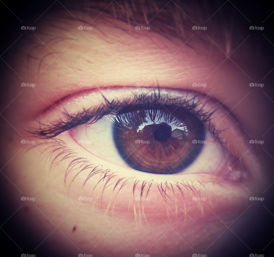 Eyeball, Vision, Retina, Eyesight, Eyelash