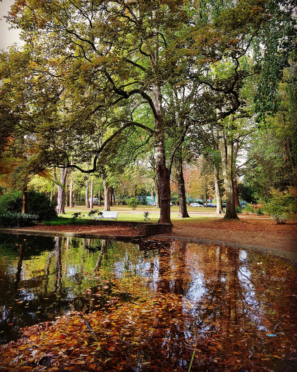 Park Herbst