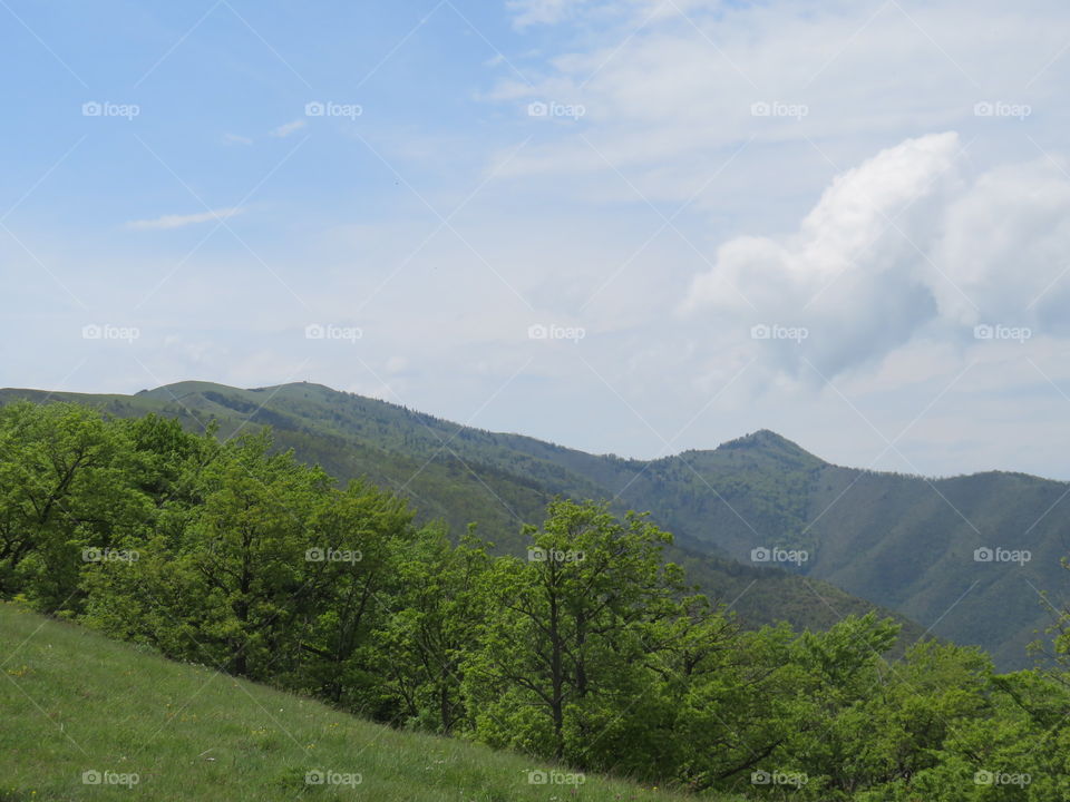 Mauntain Stolovi Serbia landscape elevations pasture with distant mauntain range