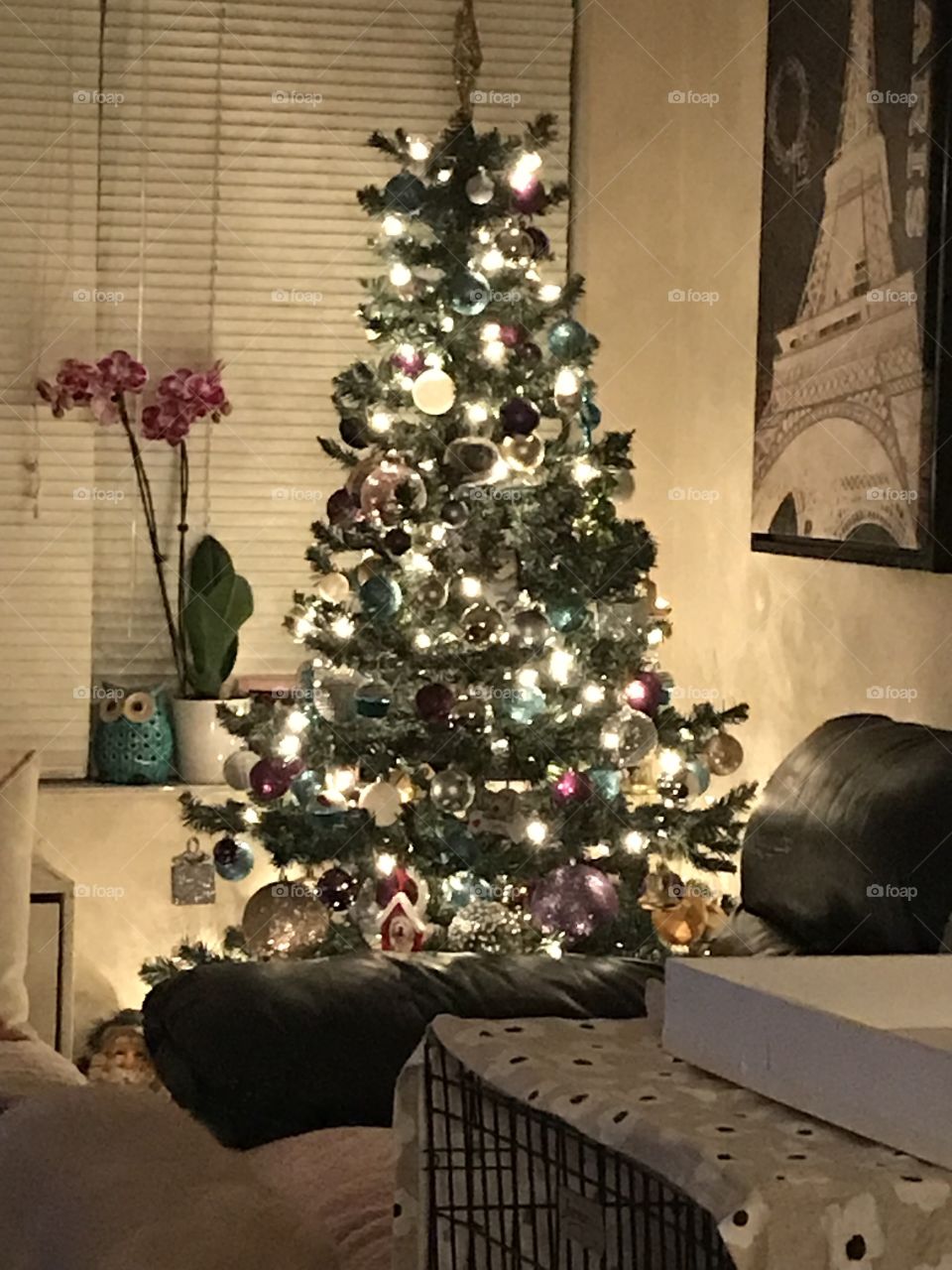 Christmas tree at home