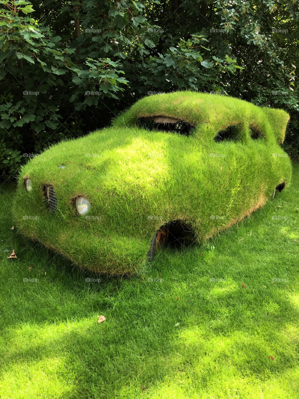 Sunlight reflecting on the car covered by grass