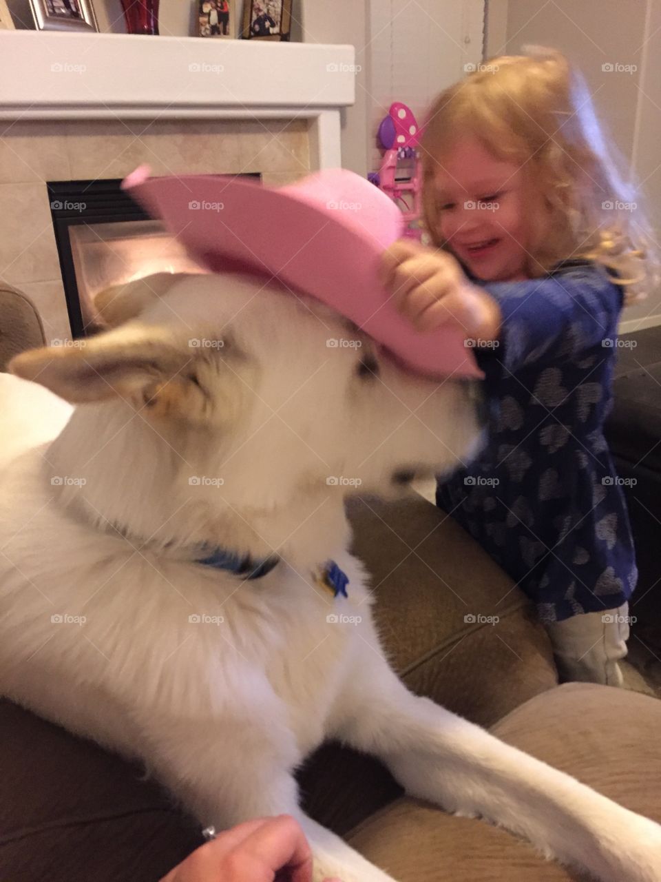 Dog hates being forced to wear pink cowgirl hat 