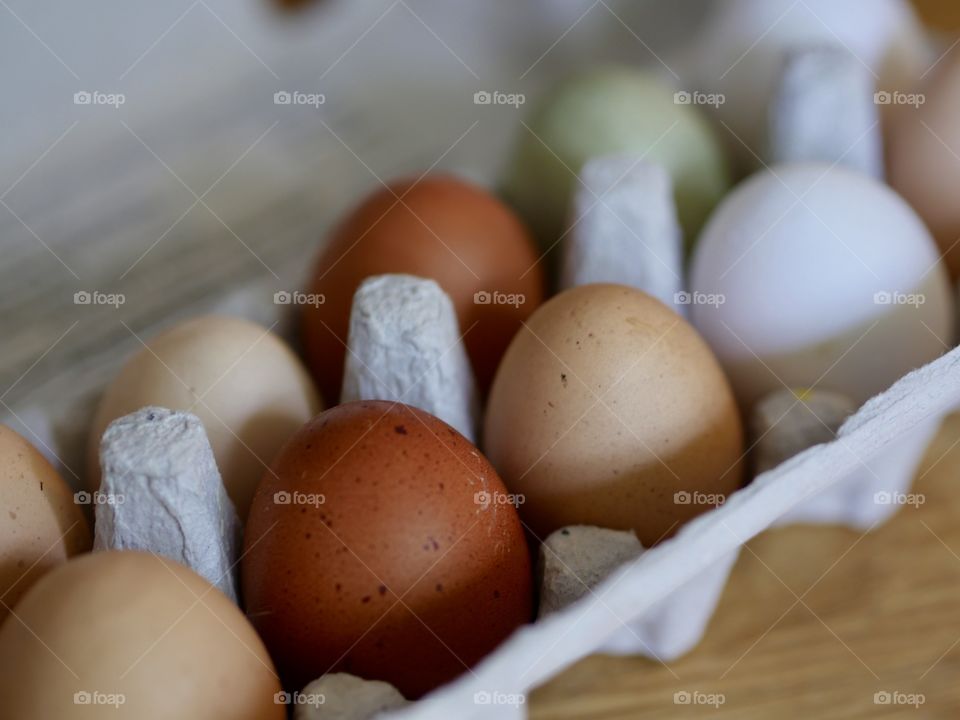 Organic Freerange Chicken Eggs in Pack