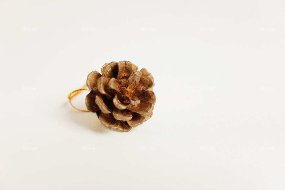 Chistmas decoration on isolate white background. Pine cone