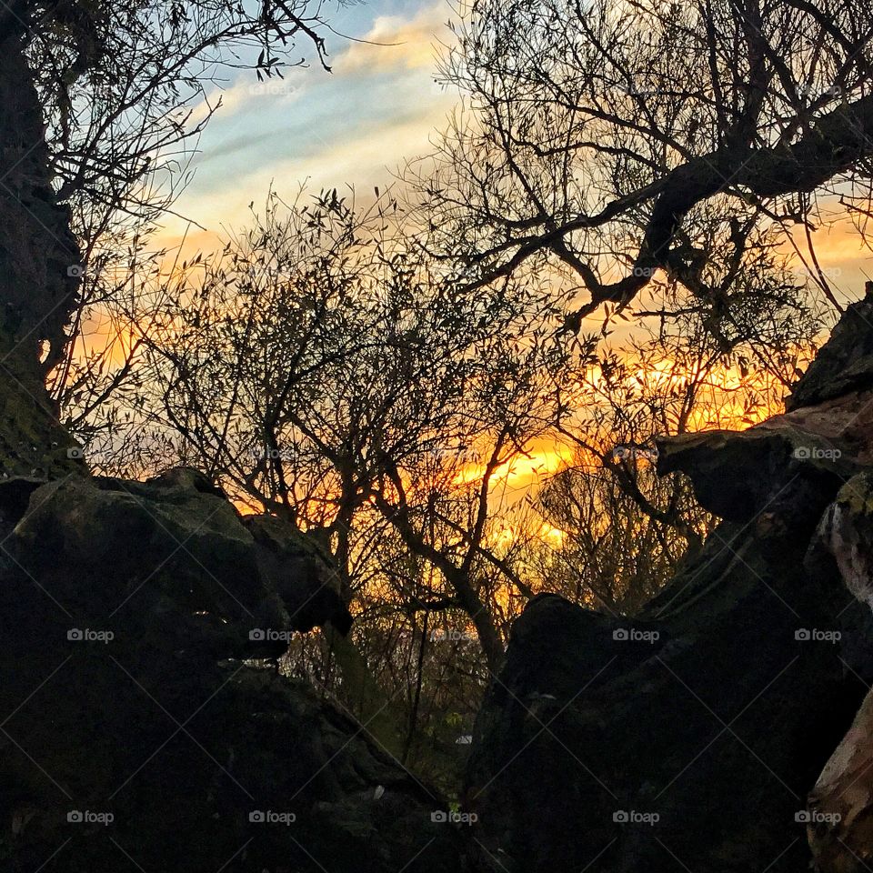 Create a social network and loop back and forth...transformation implies survival...