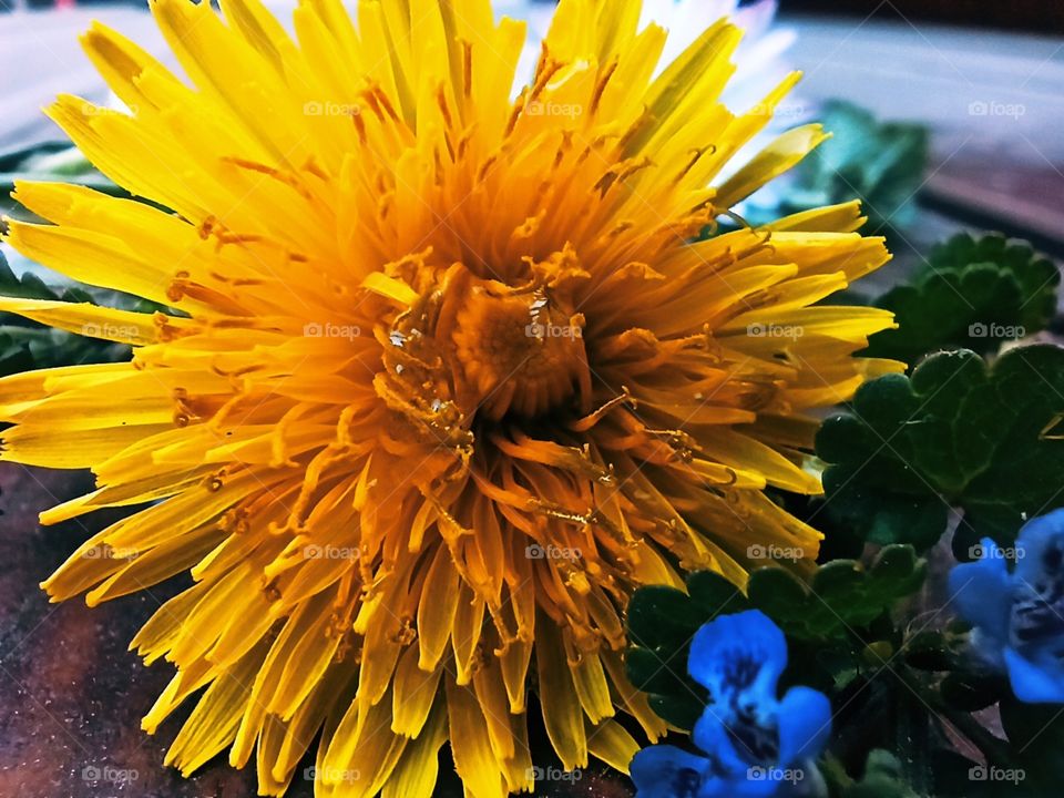 flowers on the table