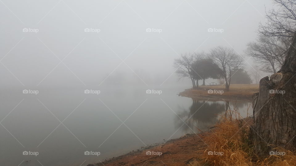 fog lake