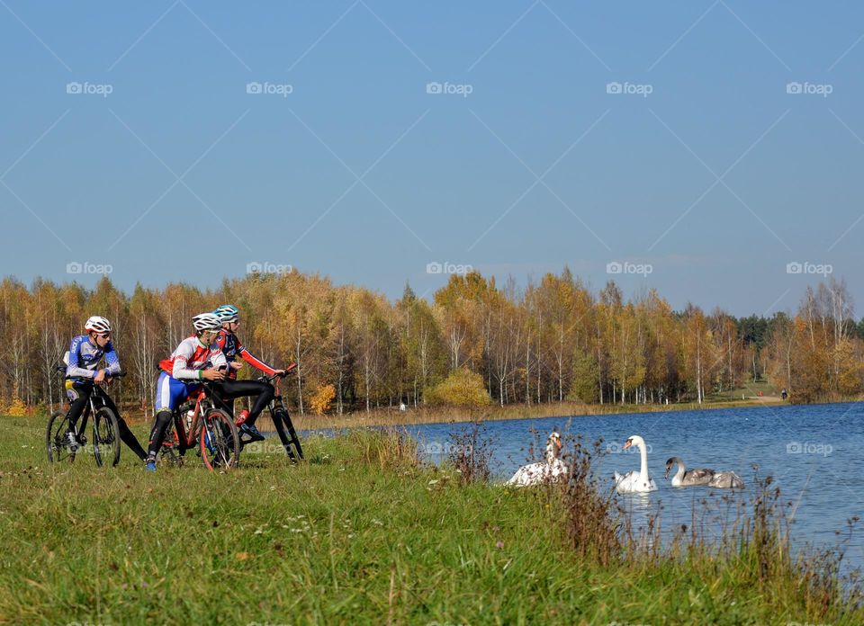 people friends on a bikes resting on a lake shore and swans family beautiful nature landscape, autumn time