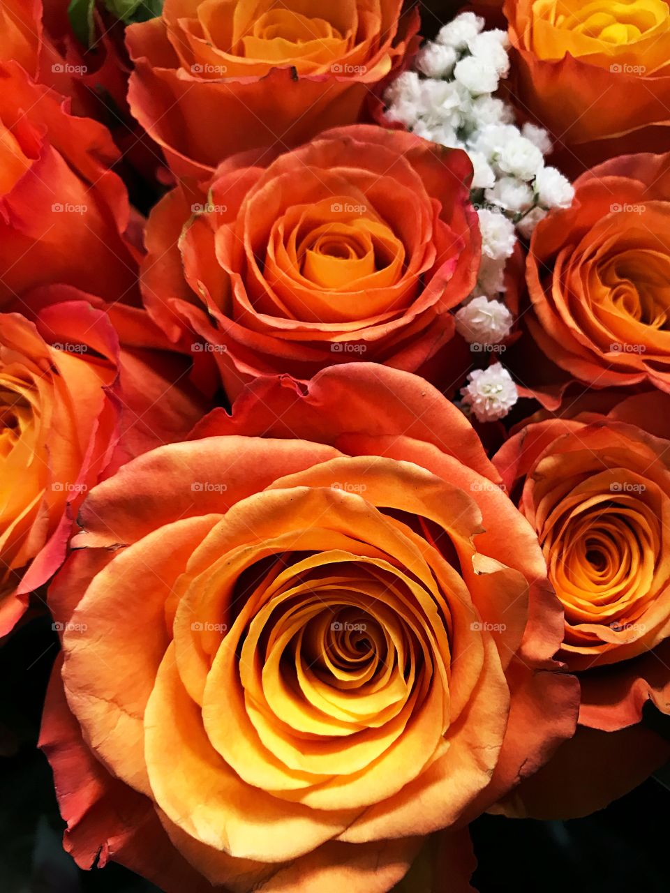 Orange rose bouquet 