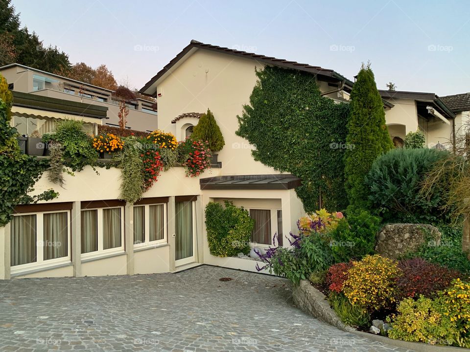 Plants and house in Switzerland 