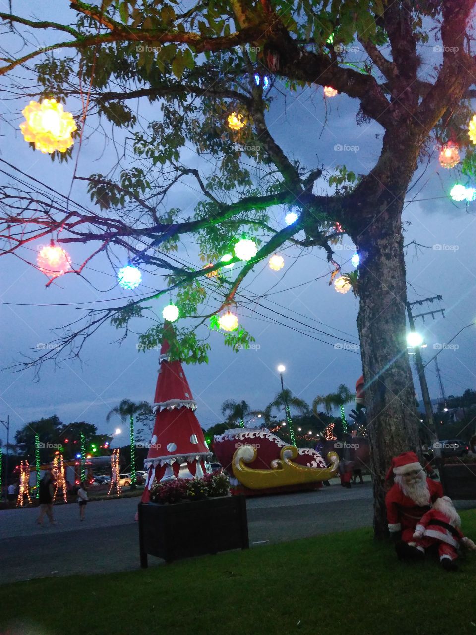 Christmas park 