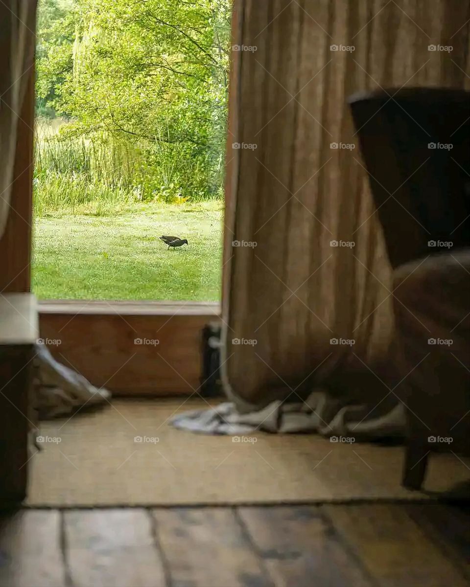 Glory be to God, the magnificent and picturesque view and the natural green trees are a view that is nothing more wonderful than it