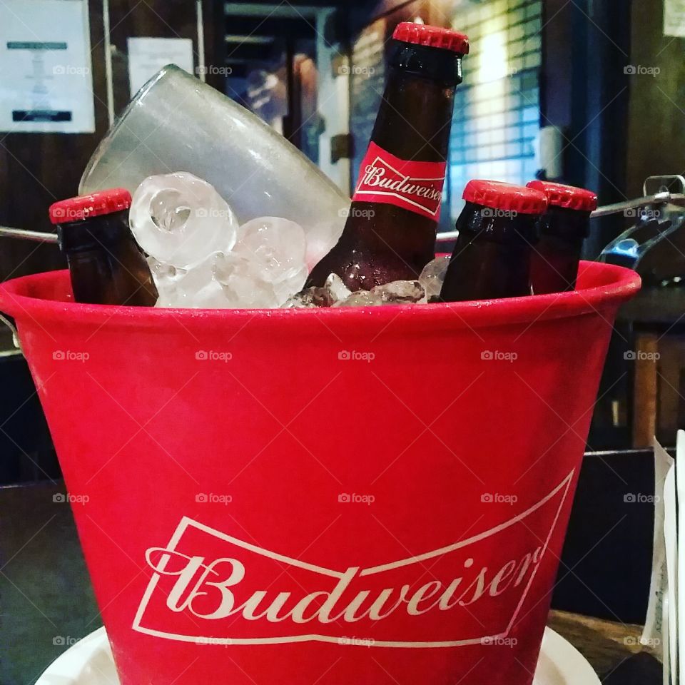 budweiser, beer.